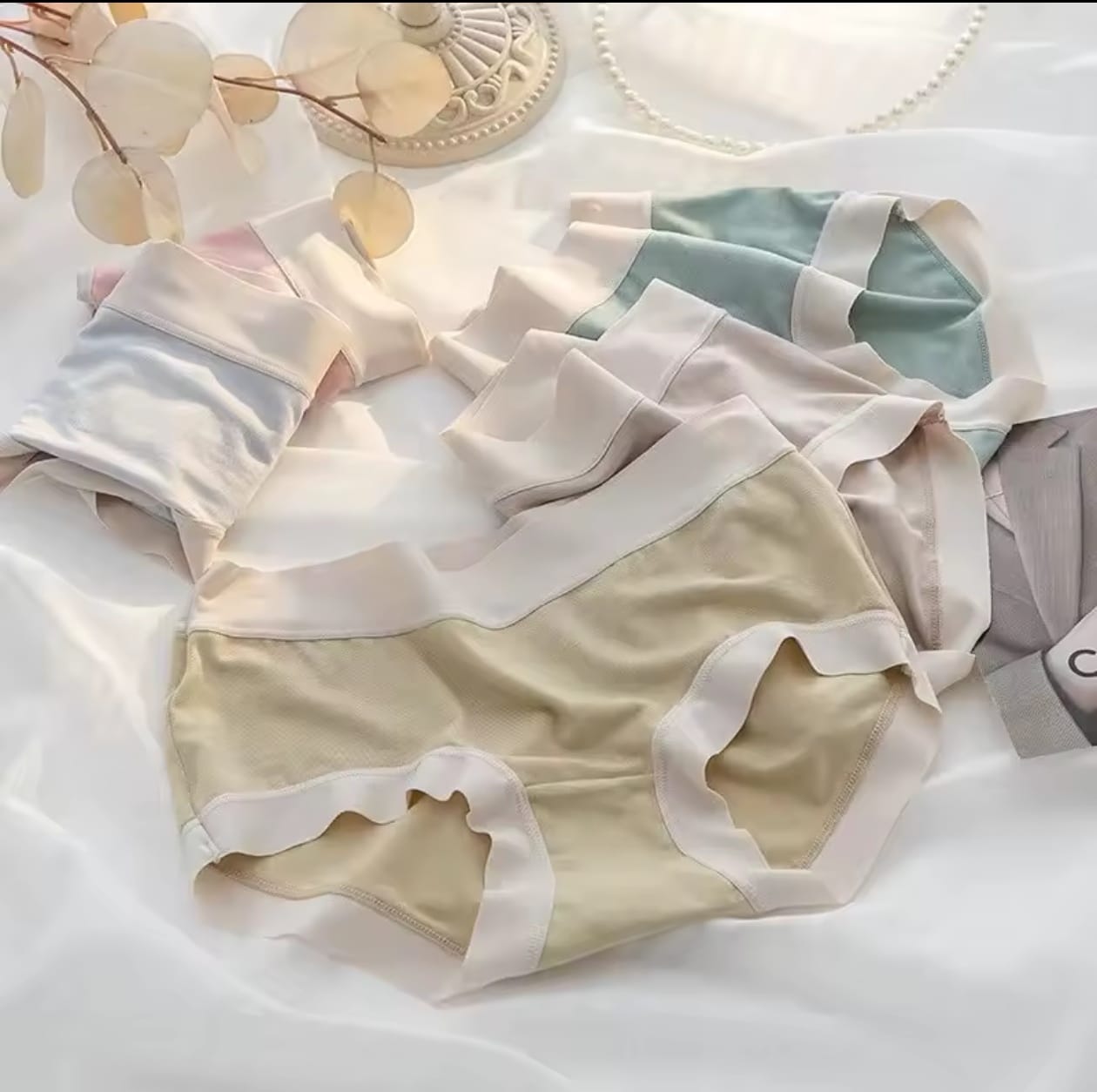 ropa interior modal
