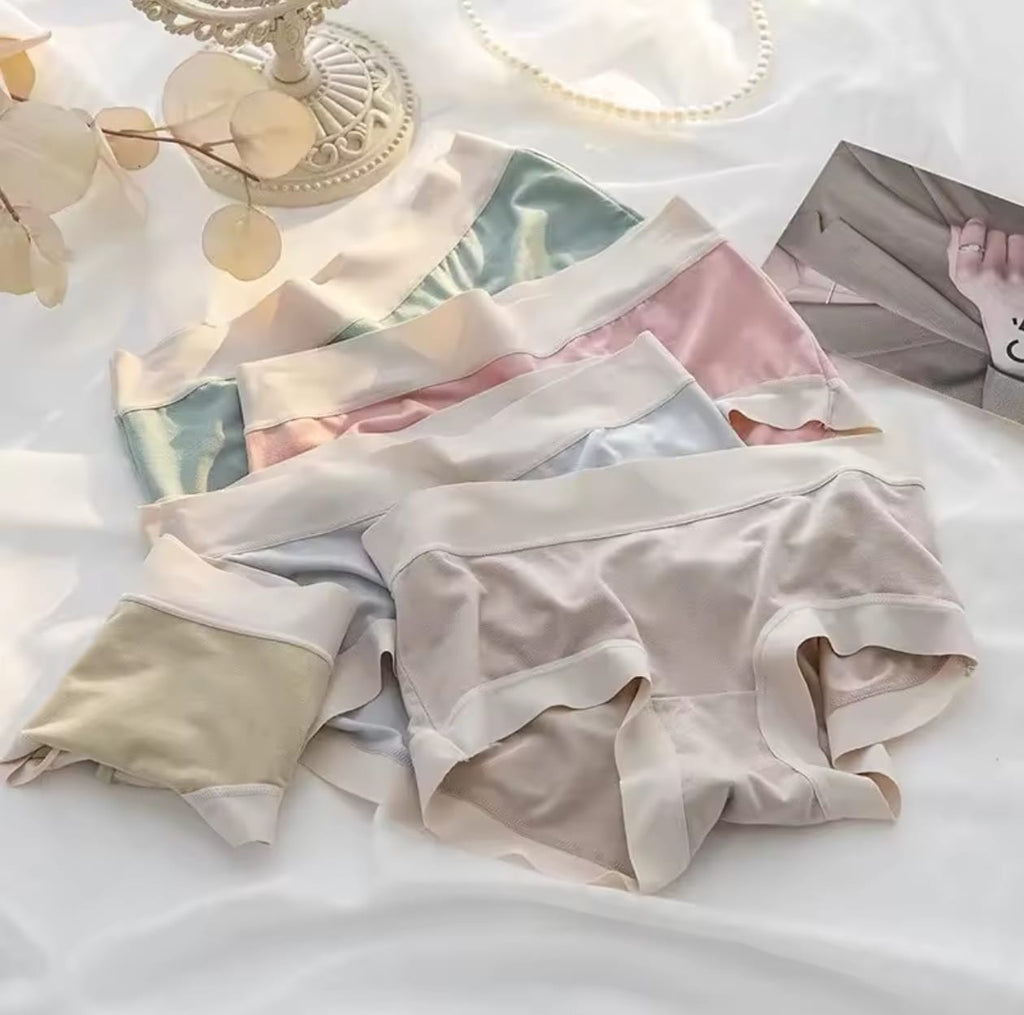 ropa interior modal